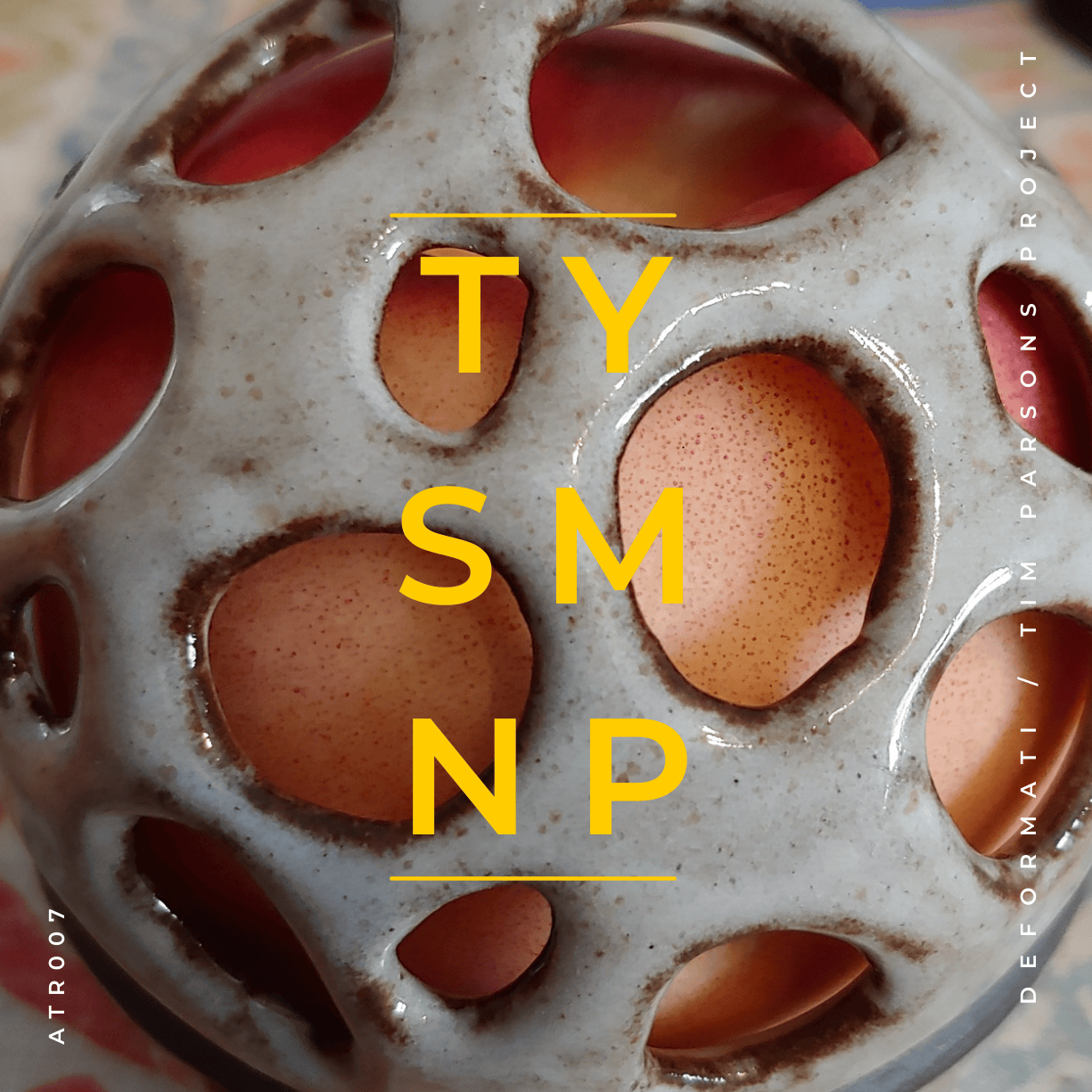 abstract image of ceramic piece with holes over an apple or egg natural pattern with letters that stand for Thank You So Much No Problem