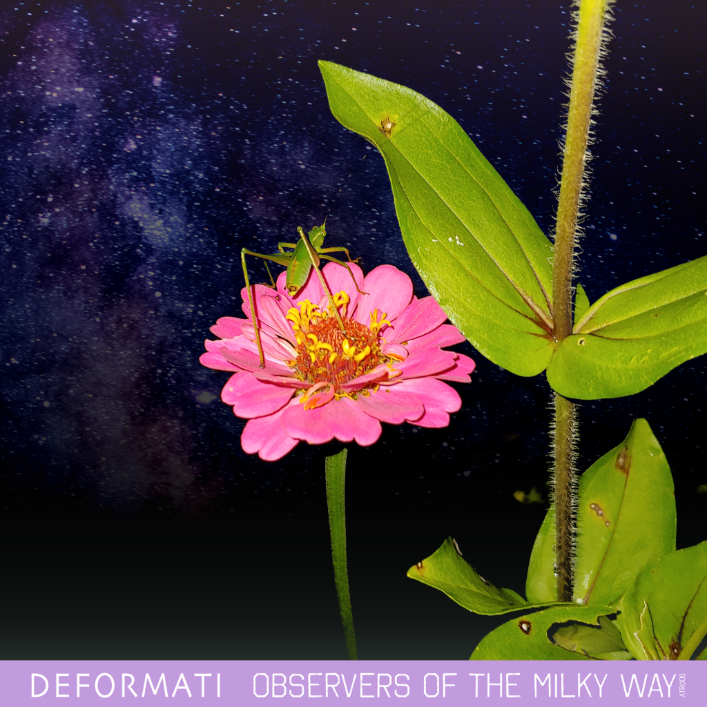 a grasshopper stares into the starry night while sitting on a flower